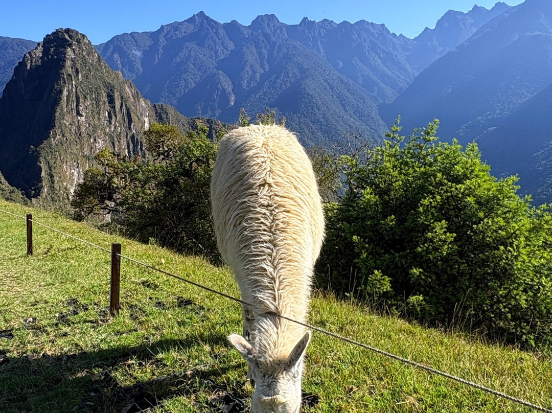 SAM Travel Peru-库斯科必去景点