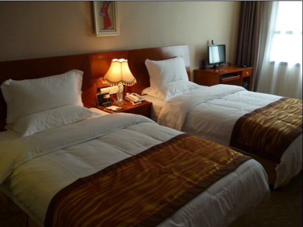 斯拉威商务酒店主图