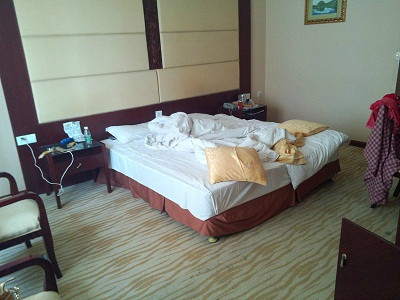 天目虹枫大酒店 