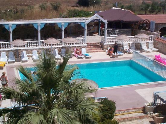 Hotel Dolphin