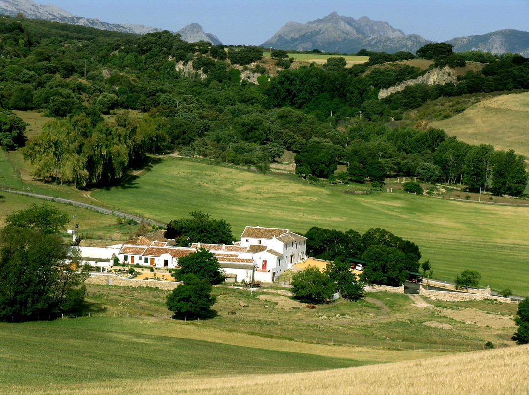 Montecorto旅游攻略图片