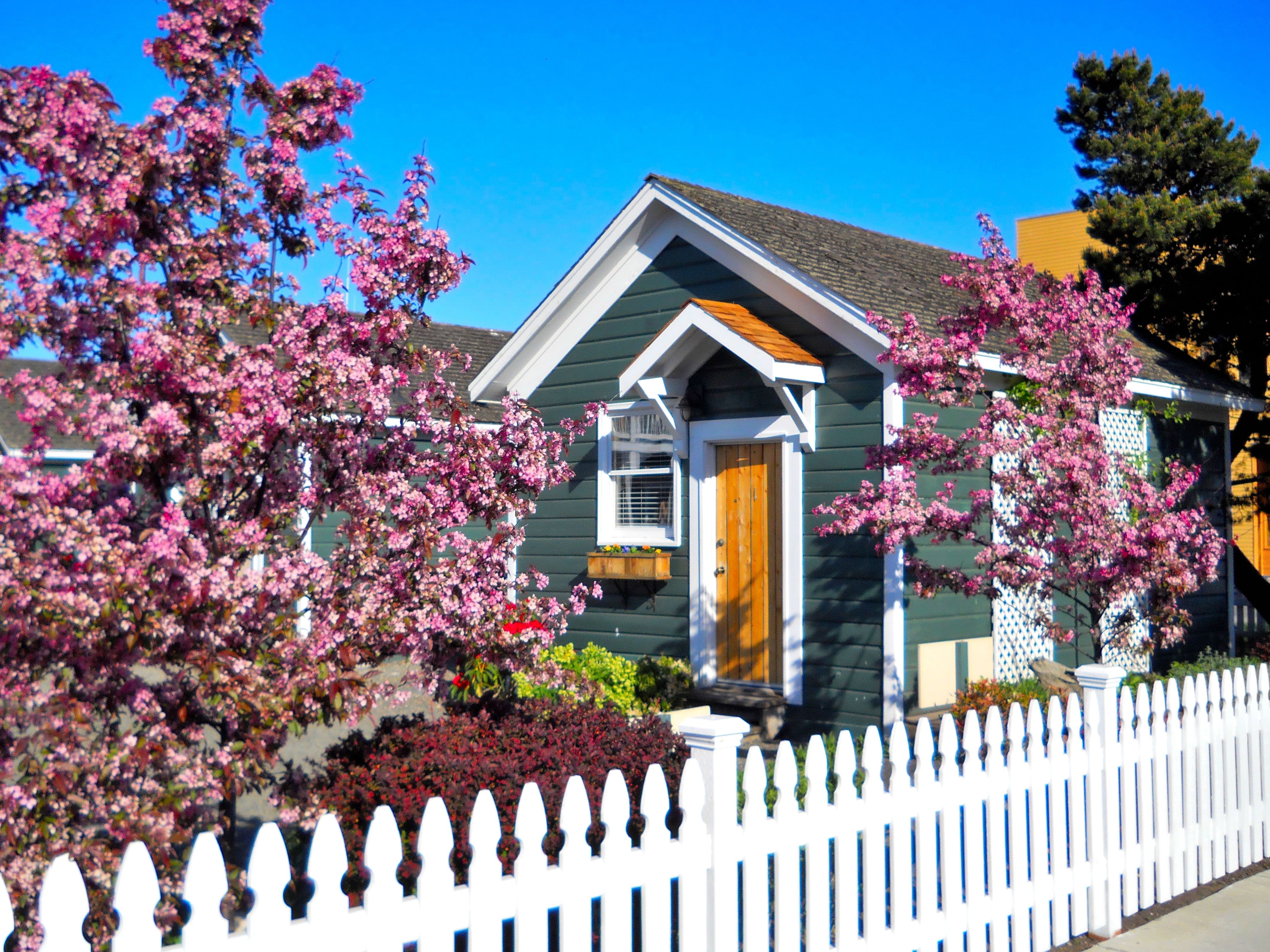 The Swan Hotel-官方