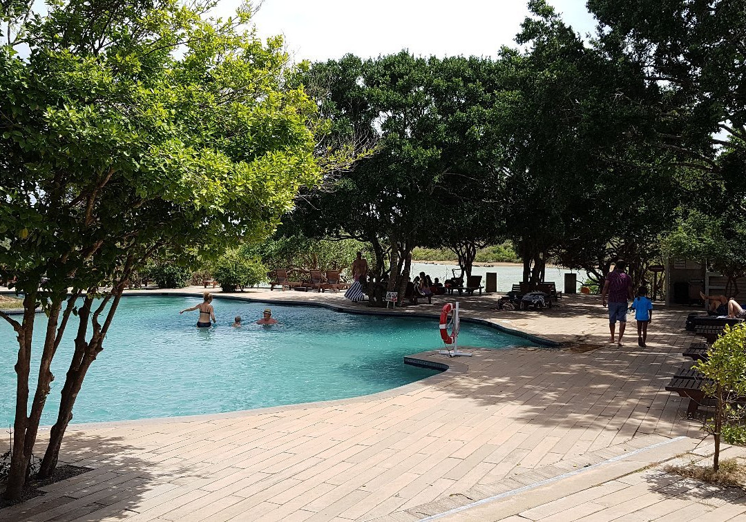 查亚野生亚拉主图