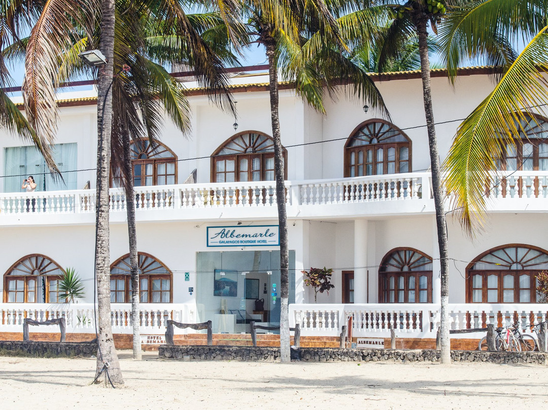 Hotel Albemarle主图