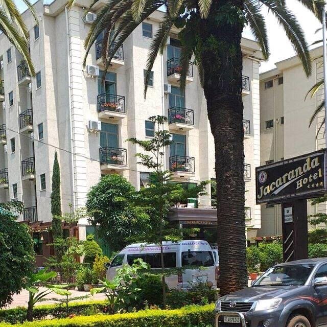 Jacaranda Hotel-官方
