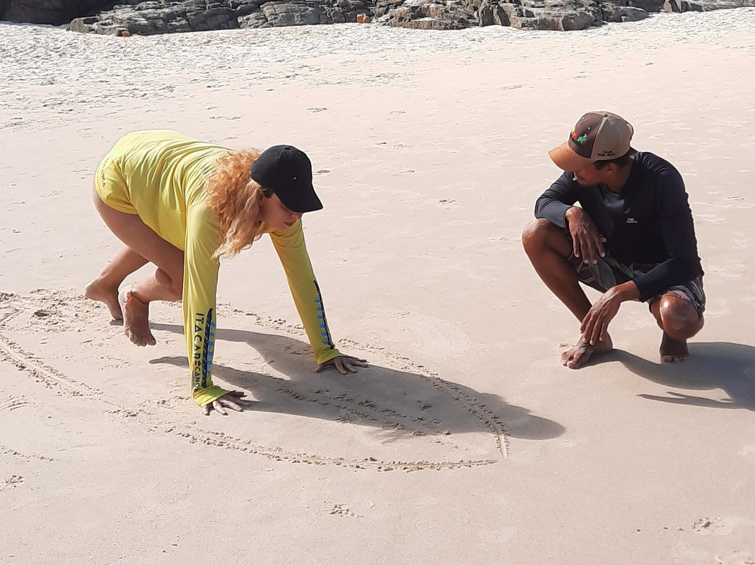 Aulas de Surf (Aloha Surf School)-Itacare必去景点