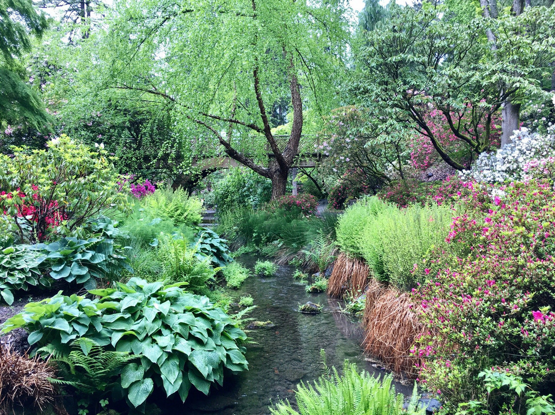 Crystal Springs Rhododendron Garden景点图片