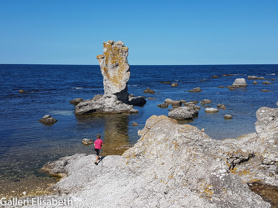 Digerhuvud Sea Stack Field景点图片