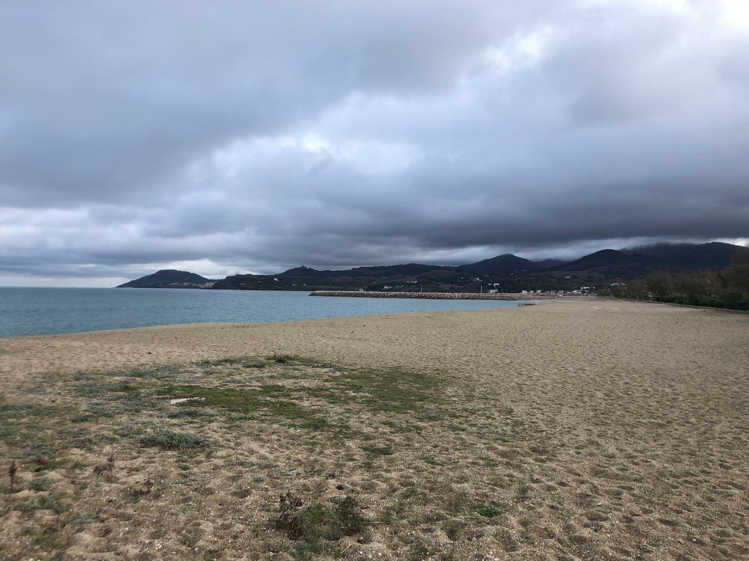 Plage Centre-滨海阿尔热莱必去景点