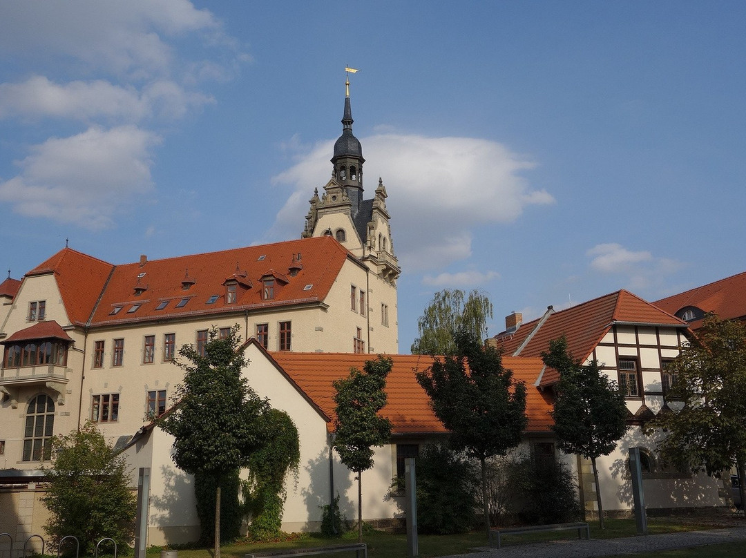 Bernburg Castle and Museum景点图片