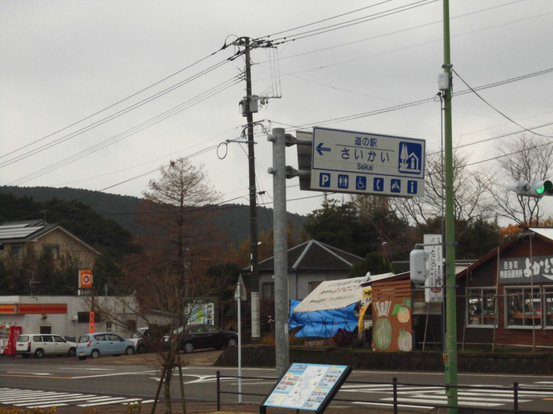 Michi-no-Eki Saikai景点图片