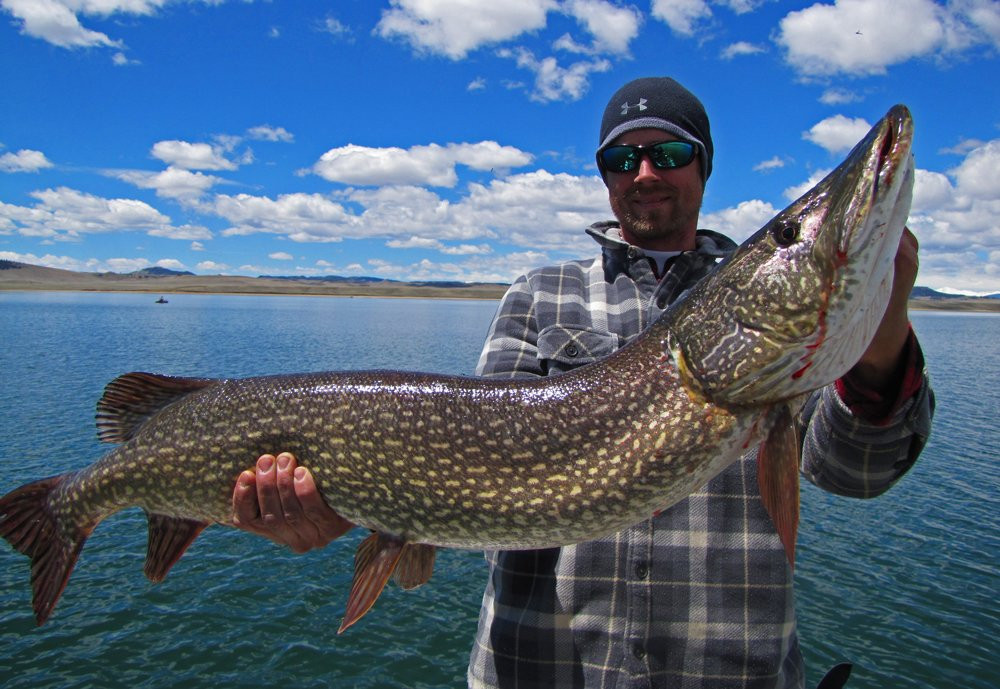 FishHead Outdoors-普韦布洛必去景点