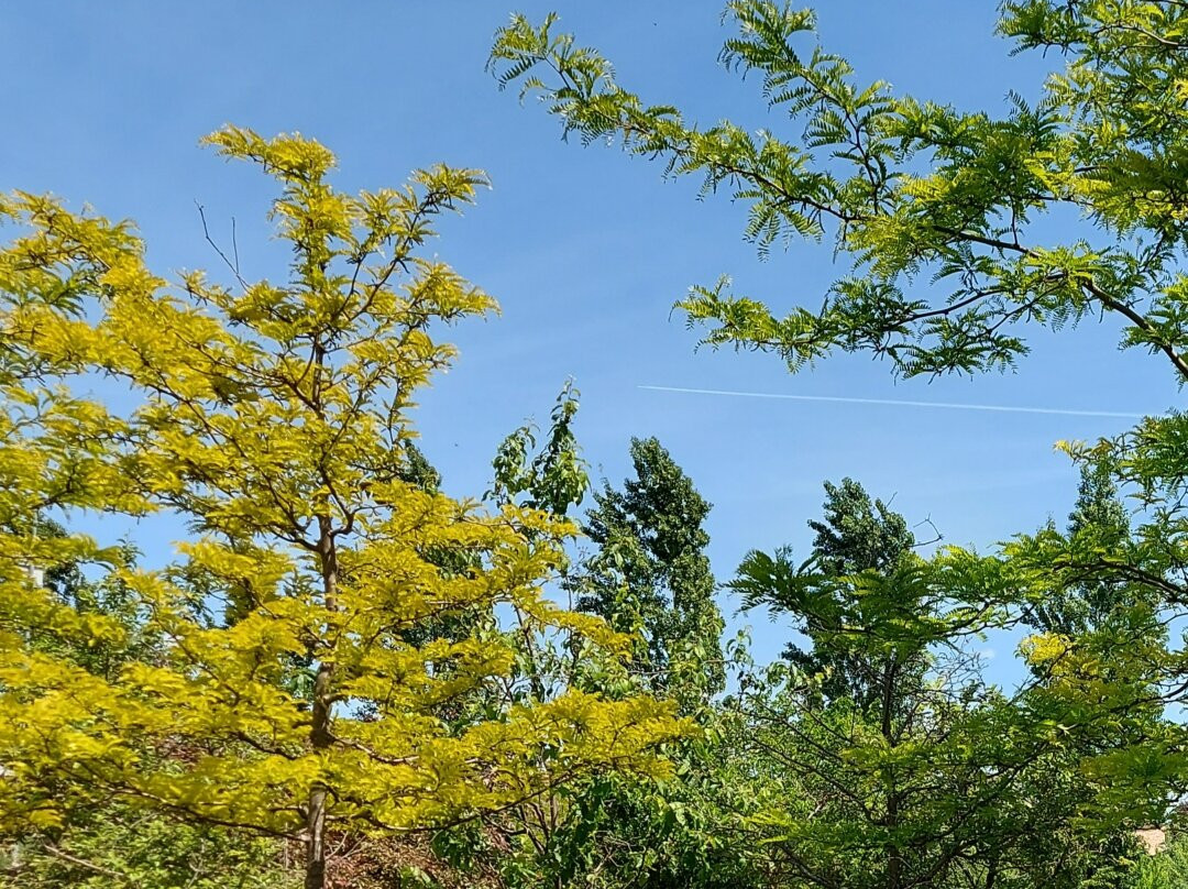 Parco Della Pace景点图片