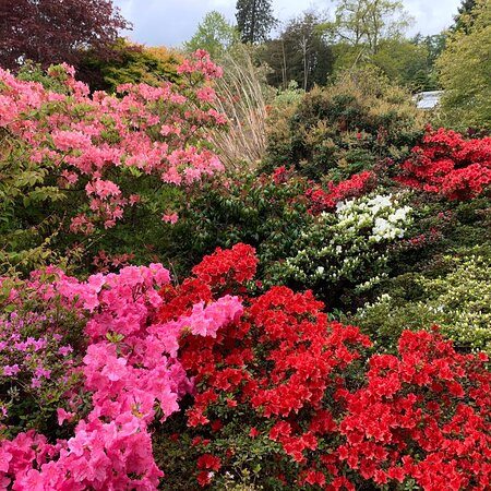 Glendoick Gardens-Glencarse必去景点