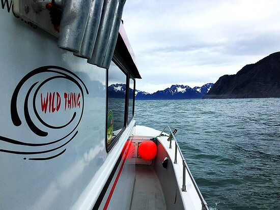 Off the Dock Charters LLC-苏厄德必去景点