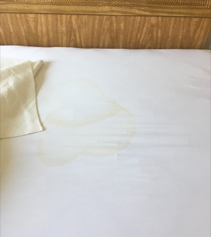 Super 8 by Wyndham Long Prairie