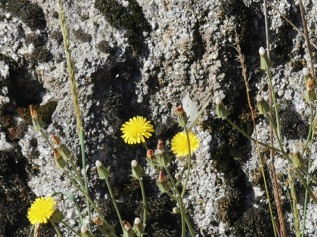 Ruta Galapagar-Galapagar必去景点
