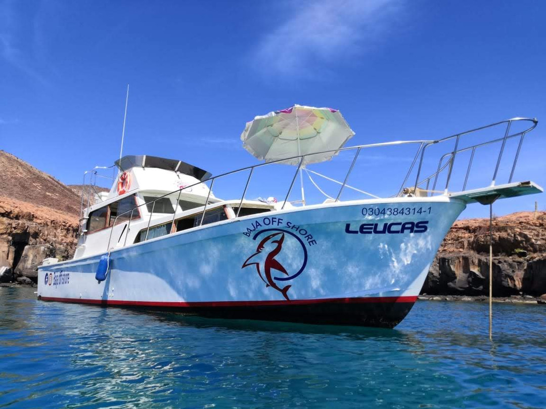 Baja Off Shore-拉巴斯必去景点