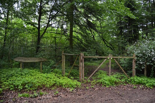 Sauener Wald-Rietz-Neuendorf必去景点