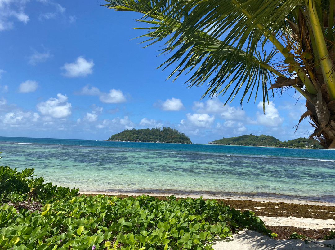 Club Med Seychelles主图