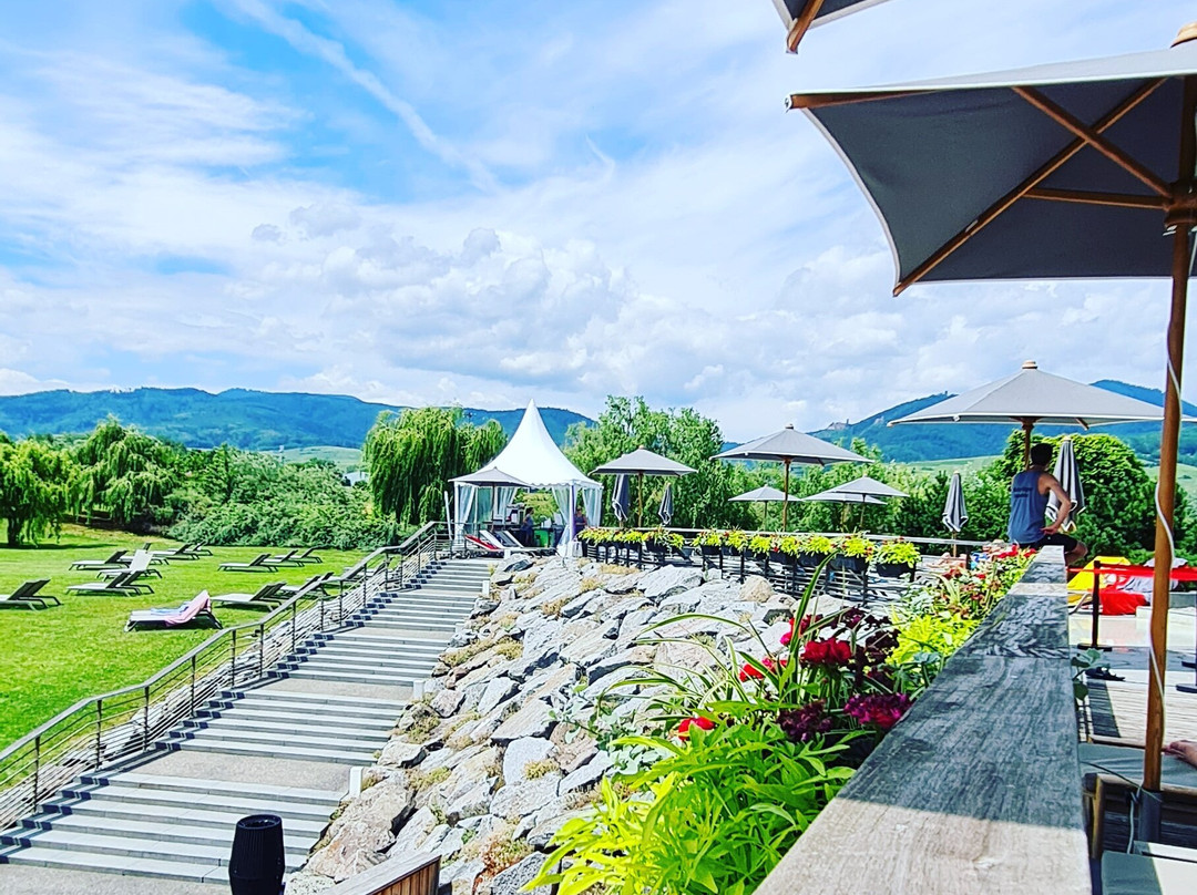 L'Hôtel & Spa Ribeauvillé主图