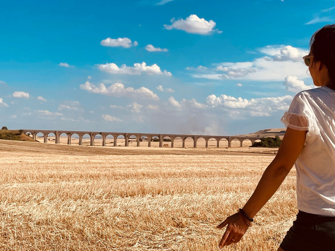 Ponte dei 21 Archi-Spinazzola必去景点