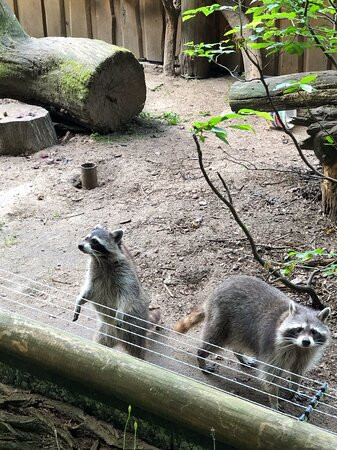 Tierpark Kunsterspring-Neuruppin必去景点