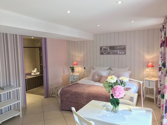 Hostellerie des Bichonnieres主图
