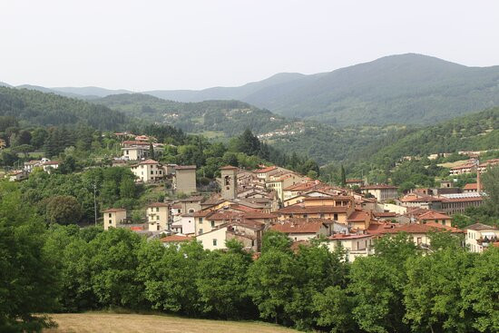 Parco Nazionale delle Foreste Casentinesi, Monte Falterona e Campigna景点图片