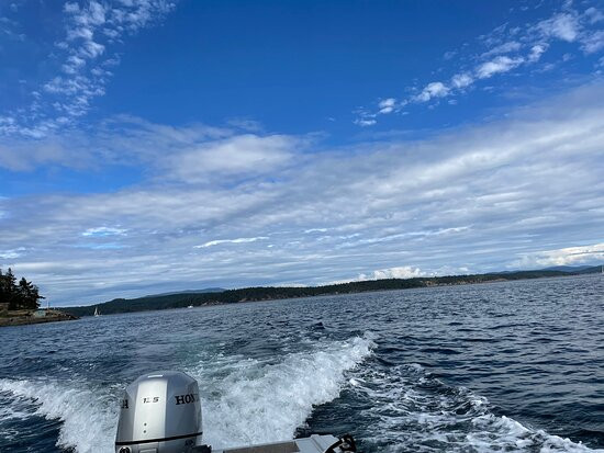 Friday Harbor Boat Rentals-星期五港湾必去景点