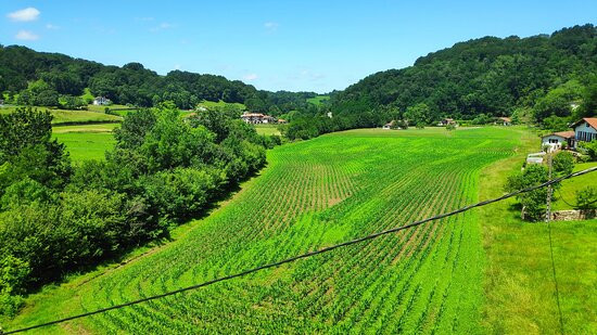 Hotel Irigoienea主图