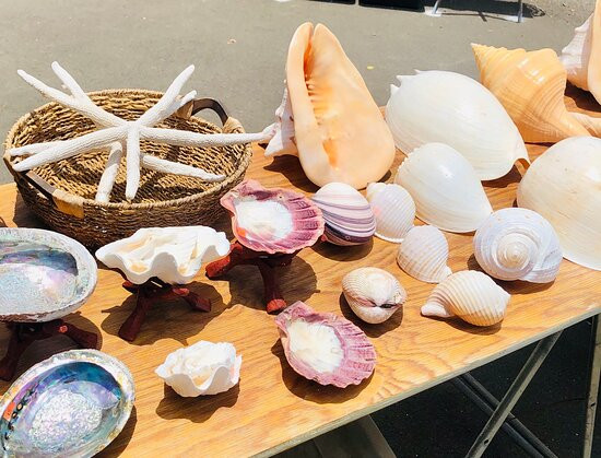 Haleiwa Shell Stand-哈雷瓦必去景点