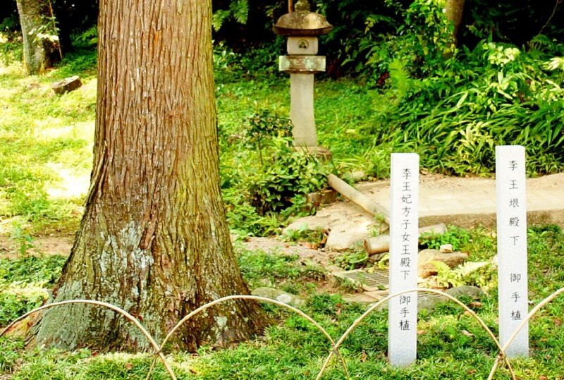 Koma Shrine-日高市必去景点