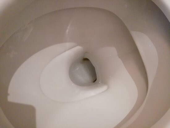 贝斯特韦斯特德拉普拉奇酒店主图