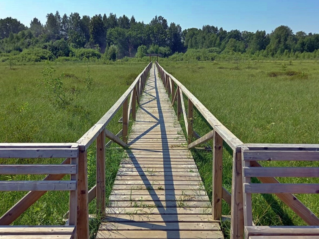 Katvari Lake Boardwalk景点图片