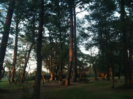 Pine Grove Campground and Waterfowl Park
