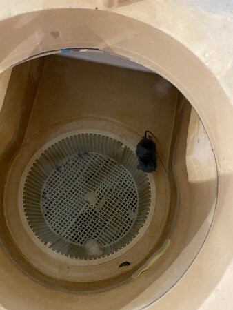 Best Western Cooperstown Inn & Suites主图