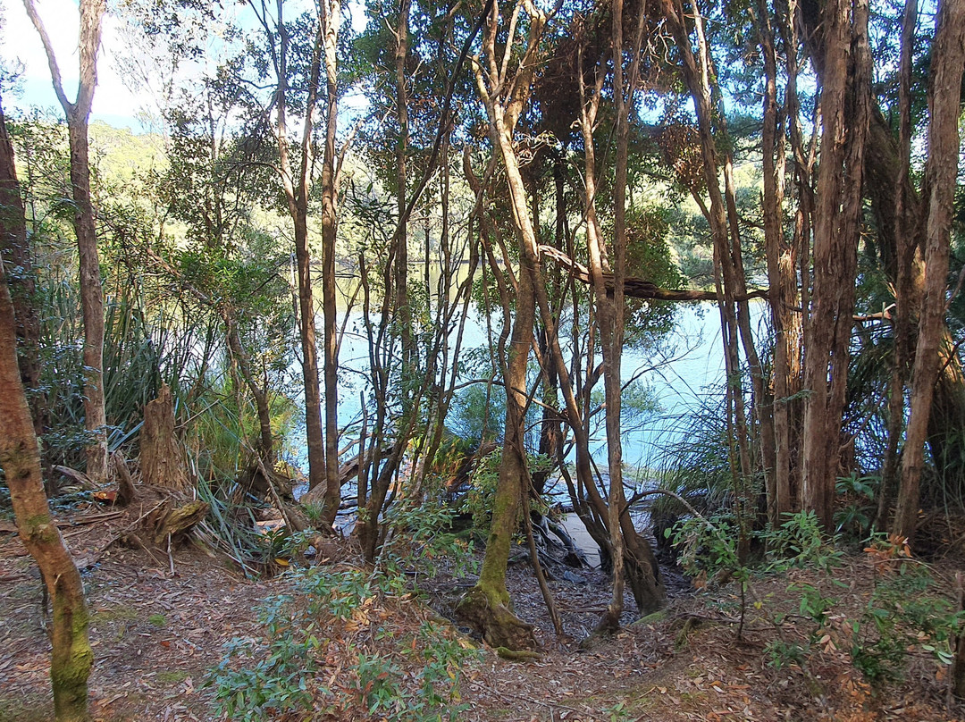 Whyte River Track景点图片