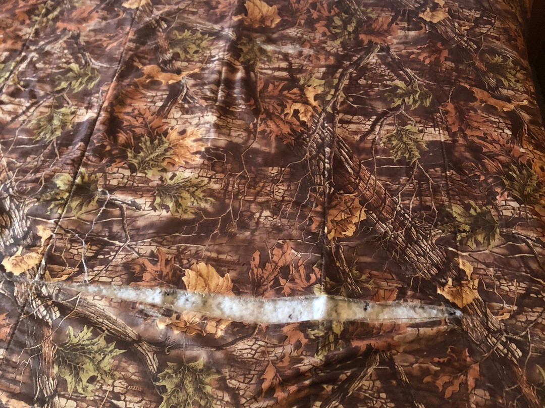 White Tail Resort主图