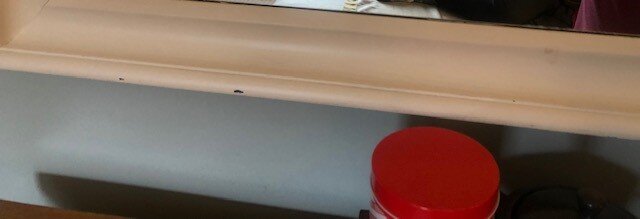 格林考旅馆-客卧