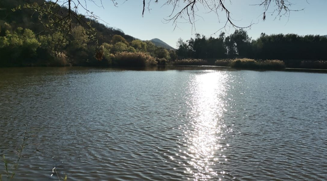 Izinkwe Lodge
