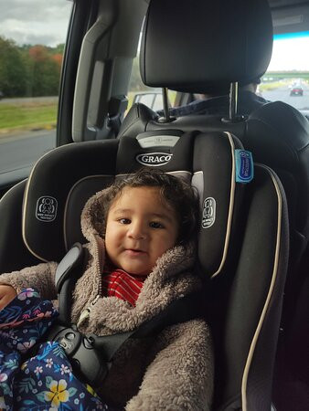 Boston Luxor Limo-Everett必去景点