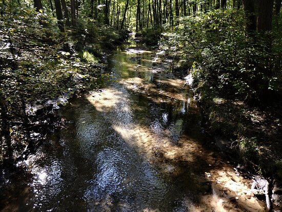 Franklin Lakes Nature Preserve景点图片