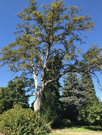 The Gorge White House-胡德里弗必去景点