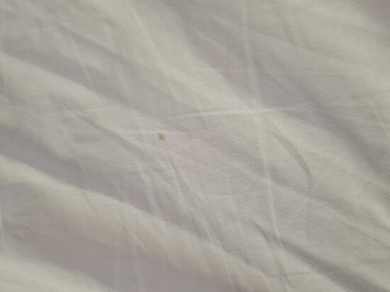 诺富特斯蒂夫尼奇酒店主图