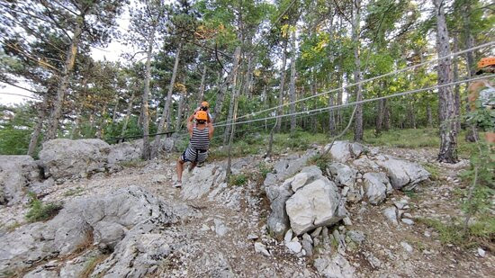 Zipline Edison景点图片
