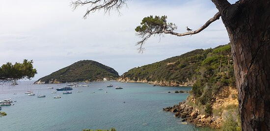 Viticcio Beach景点图片