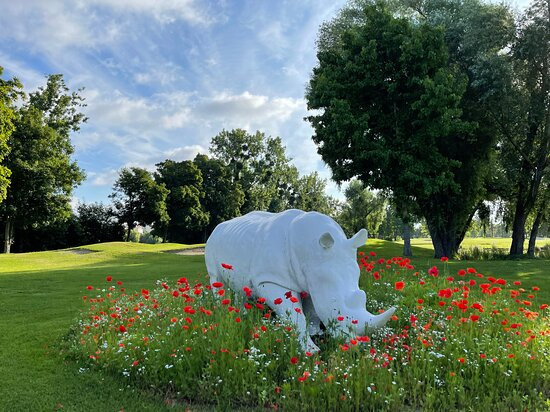 Golf de l'Ile Fleurie景点图片