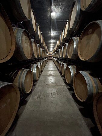 Bodegas Enrique Mendoza景点图片