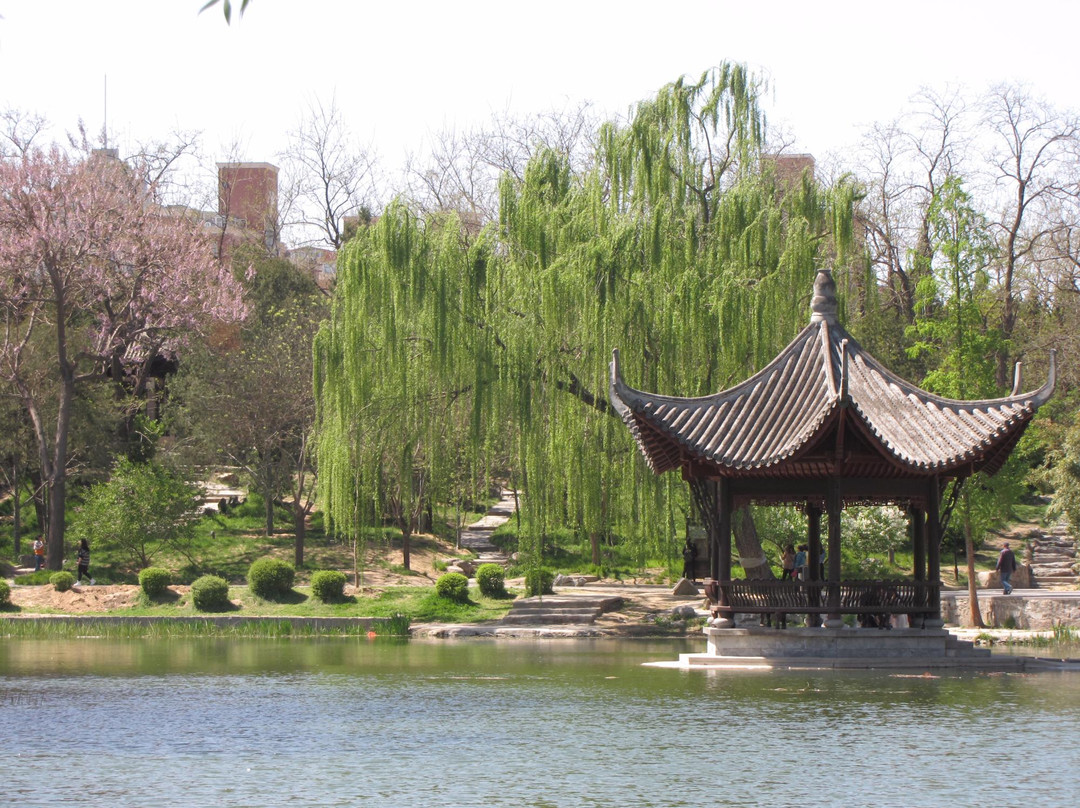 陶然亭公园-北京市必去景点